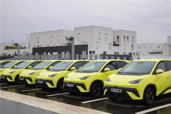 比亚迪首夺全球纯电销冠 特斯拉究竟输在哪了