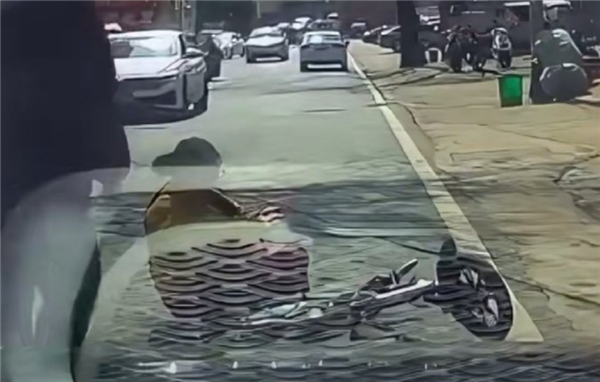 又想复制无接触事故！女子骑车摔倒反诬赖司机摁喇叭被吓到 记录仪显示路面颠簸所致