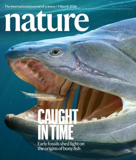 我国硬骨鱼类研究新突破！填补从鱼到人演化重大空白