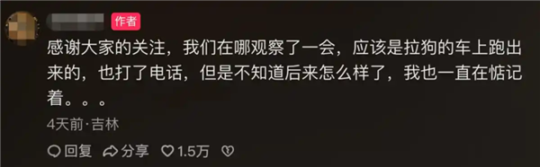 7只狗狗上演大逃亡：本以为是自救励志片 结果是为爱离家出走