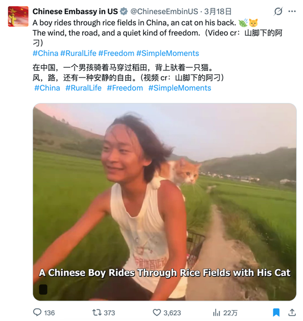 意外走红的广西农村青年 被外网标价百万美元