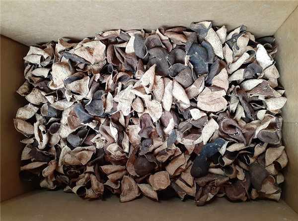 陈皮不就是晒干的橘子皮吗 为啥卖那么贵！