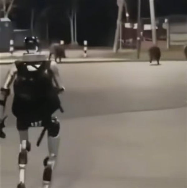国产机器人波兰街头显身手！宇树机器人成功吓退3头野猪