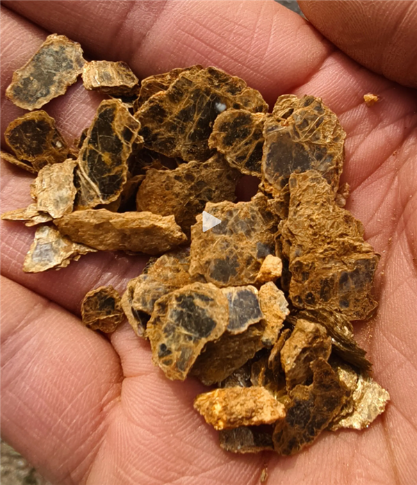 8岁男孩爬山识草疑发现金矿 官方回应:有可能