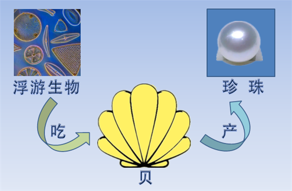 核电站搞出新副业 竟然是产珍珠！