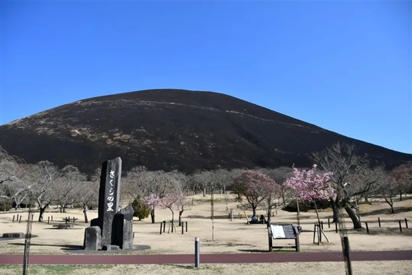 日本这座山不允许长树 每年都要烧一次!游客可付费体验