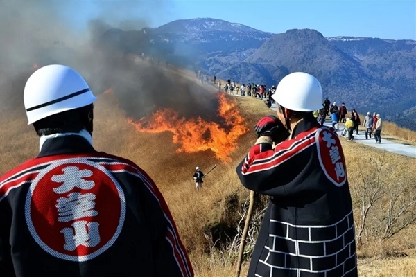 日本这座山不允许长树 每年都要烧一次!游客可付费体验