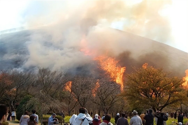 日本这座山不允许长树 每年都要烧一次!游客可付费体验