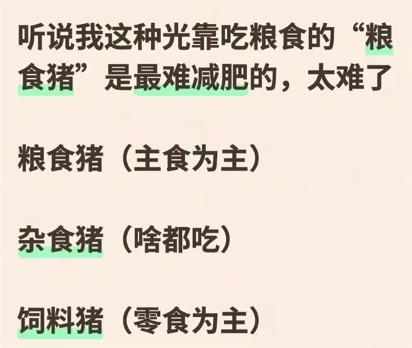 别怪碳水了 它背不起这么大的锅!