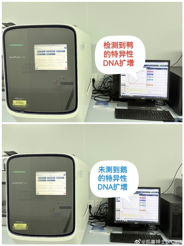 DNA检测结果出炉:鹅腿阿姨售卖食材确为鸭腿